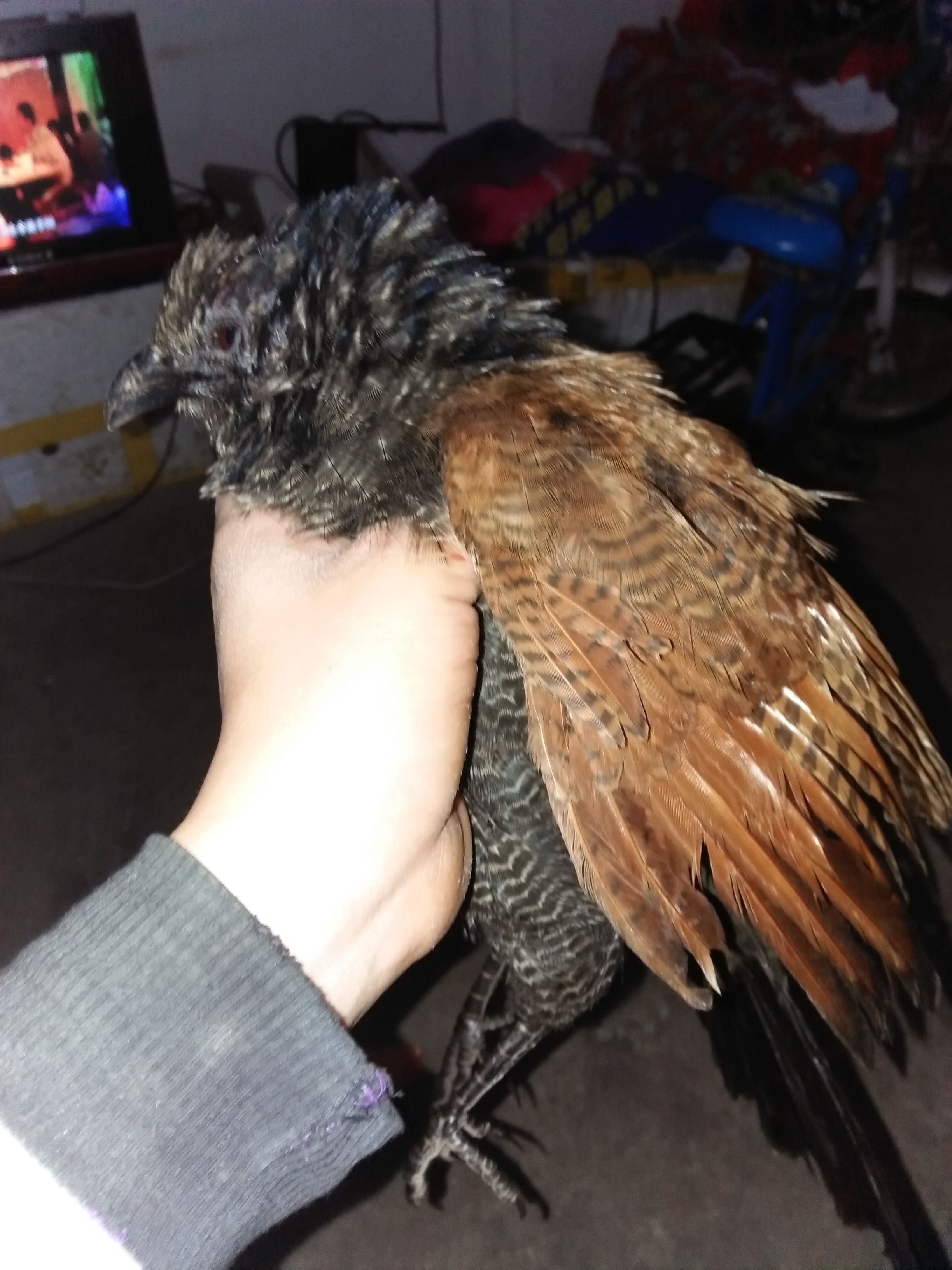 关于}繦骧?抸?闙#(?徠枋~I浱6X9櫟^(?e;-蟬?齜4鴝?鰳軞次&舙Zr?_佼玩齨ly=&筗r{洐i勺j?N迹Sa鏤YГq娝Ag燝??v#L点??様们磭伃sf?#K?^u>毥蠧+岶c?-K?^T衏Ds?_X欐i靀縔ヤ謐$巸LiD;?的信息