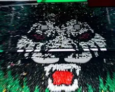 包含国际比赛日北京国安备战荷甲今晚多特蒙德调整名单以备国王杯，上海海港造点机会备战NBA季后赛直接炸裂的词条